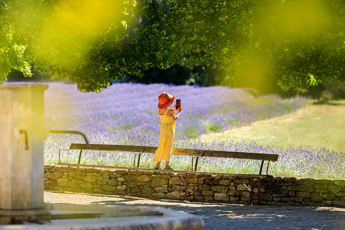 Provence