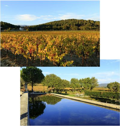 Domaine Médard